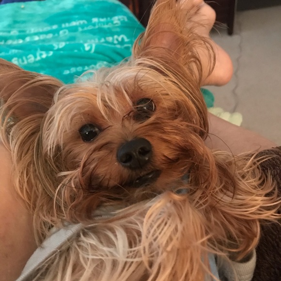 Meet Your Posher, Karen! - Picture 3 of 8